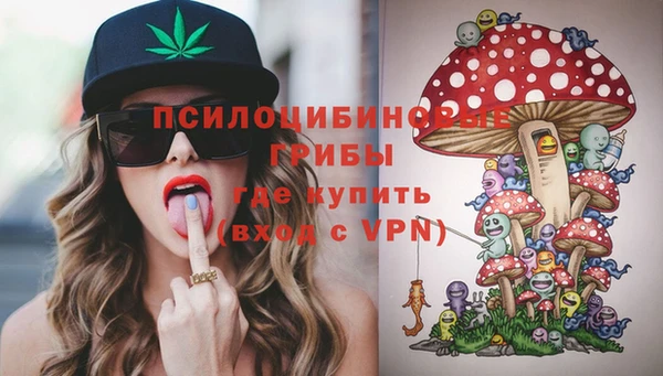 ешки Балахна