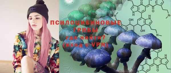 ешки Балахна