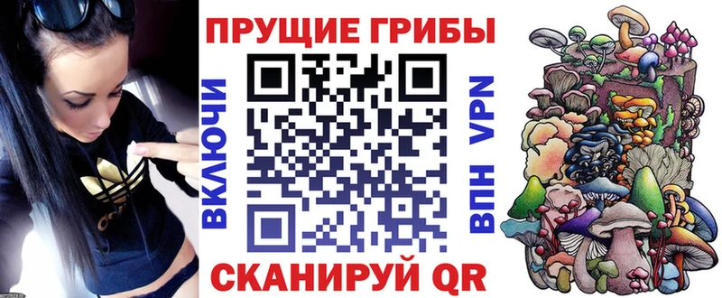 ссылка на мегу ONION  Чусовой  Галлюциногенные грибы GOLDEN TEACHER  как найти  